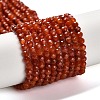 Natural South Red Agate Beads Strands G-Z074-A02-01A-2