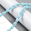 Natural Howlite Beads Strands G-H025-02A-2