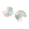 Baking Paint Transparent Glass Beads DGLA-F003-01G-2
