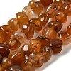 Natural Agate Beads Strands G-H295-B01-08-1