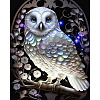 DIY Owl Diamond Painting Kit DIAM-PW0013-02D-1