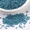 MIYUKI Delica Beads SEED-J020-DB0798-1