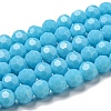 Opaque Glass Beads Stands EGLA-A035-P8mm-D08-1