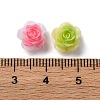 Luminous Resin Decoden Cabochons RESI-Z032-05C-5