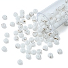 6/0 Opaque Glass Seed Beads SEED-YW0002-13Q-2