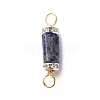 Natural Mixed Gemstone Connector Charms PALLOY-JF01885-2