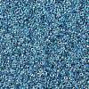 MIYUKI Round Rocailles Beads SEED-G007-RR0279-4