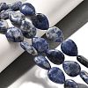 Natural Blue Spot Jasper Beads Strands G-P561-B06-01-2