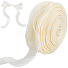 Polyester Organza Ribbons SRIB-WH20020-003A-01-1