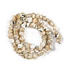 Natural Trochus Shell Beads Strands BSHE-H109-10-3