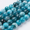 Natural Apatite Beads Strands G-J376-28-10mm-1