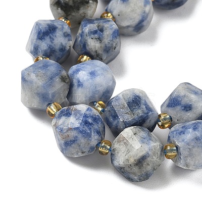 Natural Blue Spot Jasper Beads Strands G-U023-A05-01-1