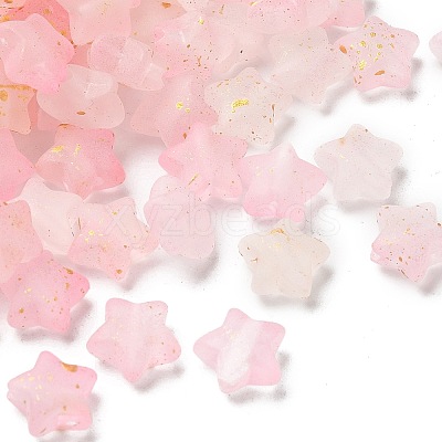 Frosted Acrylic Charms OACR-M023-04J-1