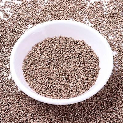 MIYUKI Delica Beads X-SEED-J020-DB1165-1