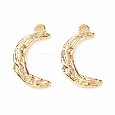 PVD Vacuum Plating 304 Stainless Steel Pendants STAS-B024-80G-1