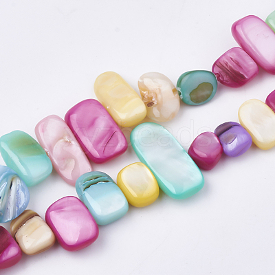 Freshwater Shell Beads Strands SHEL-S274-40L-1