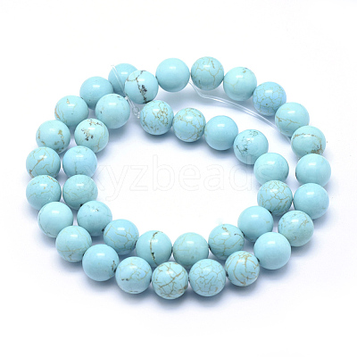 Natural Magnesite Beads Strands TURQ-G148-07-10mm-1