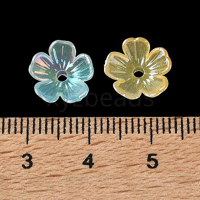 Acrylic Bead Caps OACR-G057-01B-1