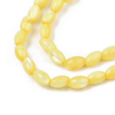 Natural Freshwater Shell Beads Strands SHEL-N003-25-B05-1