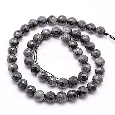 Natural Larvikite Beads Strands G-G736-01-6mm-1