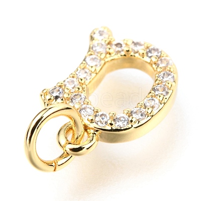 Brass Micro Pave Cubic Zirconia Charms ZIRC-O037-17G-1