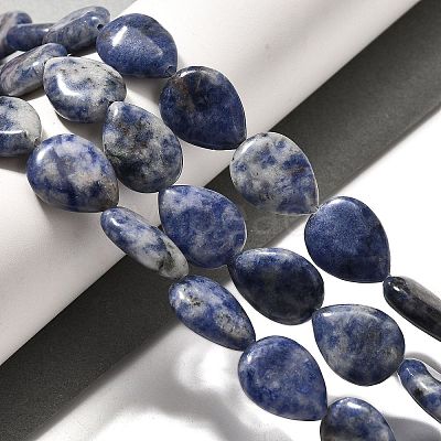 Natural Blue Spot Jasper Beads Strands G-P561-B06-01-1