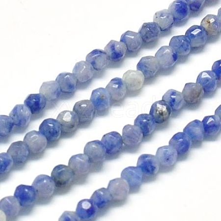 Natural Sodalite Beads Strands G-J002-09-1