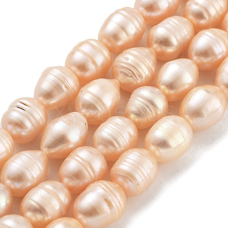 Natural Cultured Freshwater Pearl Beads Strands PEAR-P062-13B-1