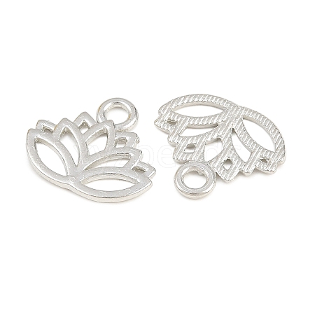 Tibetan Style Alloy Charms TIBEP-36884-P-RS-1