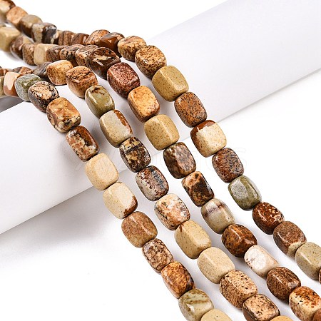 Natural Picture Jasper Beads Strands G-T138-93-1