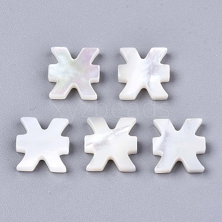 Natural White Shell Beads LS-SSHEL-ZX004-02E-1