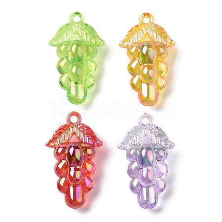 Electroplate Transparent Acrylic Pendants OACR-I014-26-1