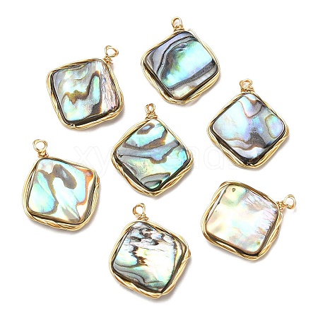 Natural Abalone Shell/Paua Shell Pendants KK-H445-02G-1