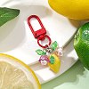 Fruit Resin & Acrylic Pendant Decorations HJEW-JM02987-4