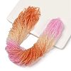 Transparent Painted Glass Beads Strands X1-DGLA-A034-T2mm-A20-1