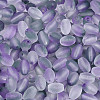 Frosted Glass Seed Beads SEED-N008-05I-3