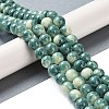 Baking Paint Glass Bead Strands GLAA-H031-01C-07-2