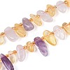 Natural Ametrine Beads Strands G-Z091-A41-4