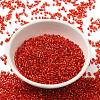 Glass Seed Beads SEED-S042-04B-10-2