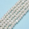 Natural Cultured Freshwater Pearl Beads Strands PEAR-F018-14-2
