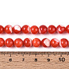 Natural Trochus Shell Mother of Pearl Shell Beads Strands SSHEL-T012-06-4