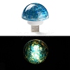 Resin & Epoxy Resin Decor Plate Night Light DJEW-K030-01A-1