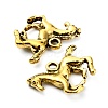 Tibetan Style Alloy Pendants TIBEP-T002-07AG-NR-3