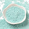 Baking Paint Glass Seed Beads SEED-P006-03A-29-2