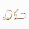 Ion Plating(IP) 304 Stainless Steel Earrings STAS-P166-11G-01-2