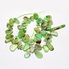 Natural Chrysoprase Beads Strands G-G695-03-2