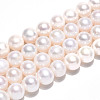 Natural Cultured Freshwater Pearl Beads Strands PEAR-N016-08B-2