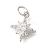 Brass Micro Pave Cubic Zirconia Pendants LS-KK-V008-09P-1