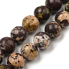 Natural Cherry Blossom Jasper Beads Strands G-C079-A02-05-1