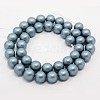 Round Shell Pearl Frosted Beads Strands BSHE-I002-6mm-323-2